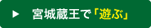 宮城蔵王で遊ぶ